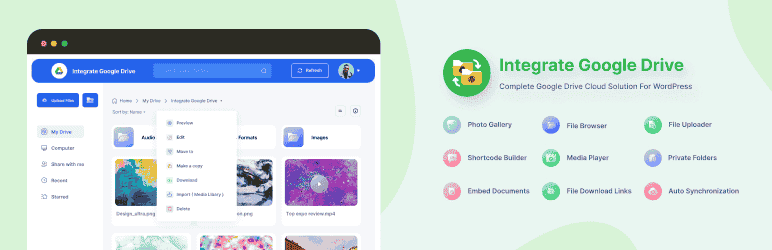 Integrate Google Drive pro (premium)